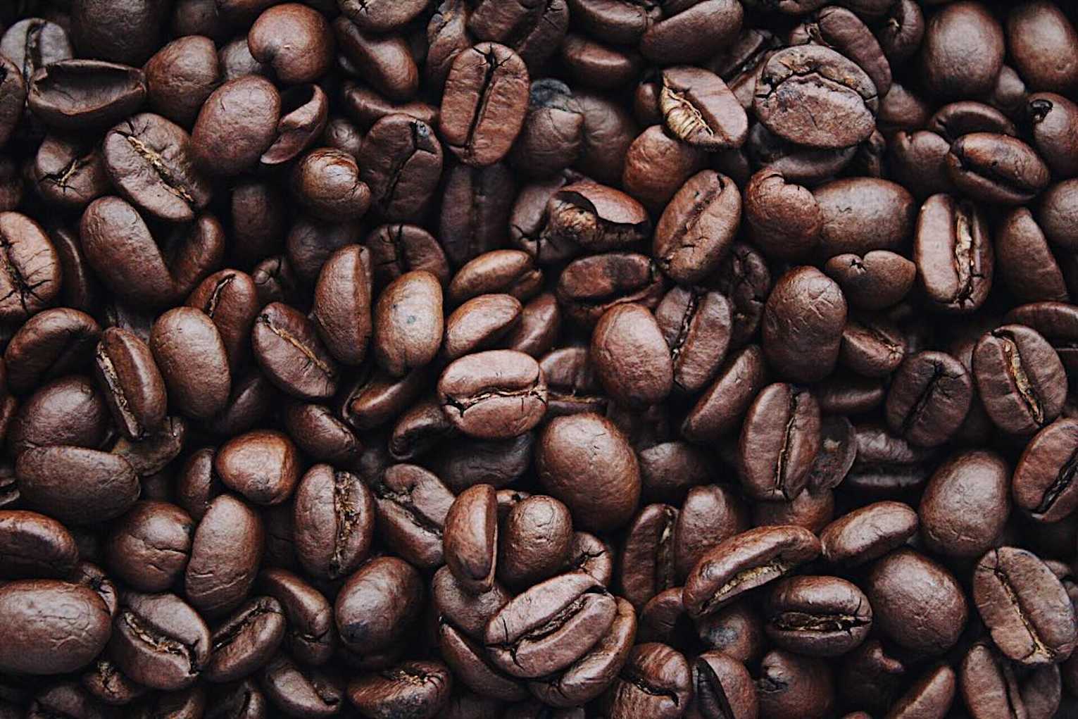 Café Alto Huallaga